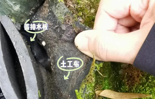 1748313263995896.png QQ20250527-102431.png