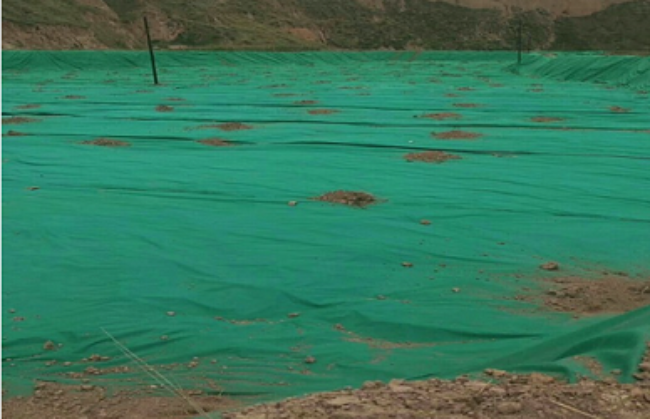 土工布，抑草保濕，草坪綠化專用！